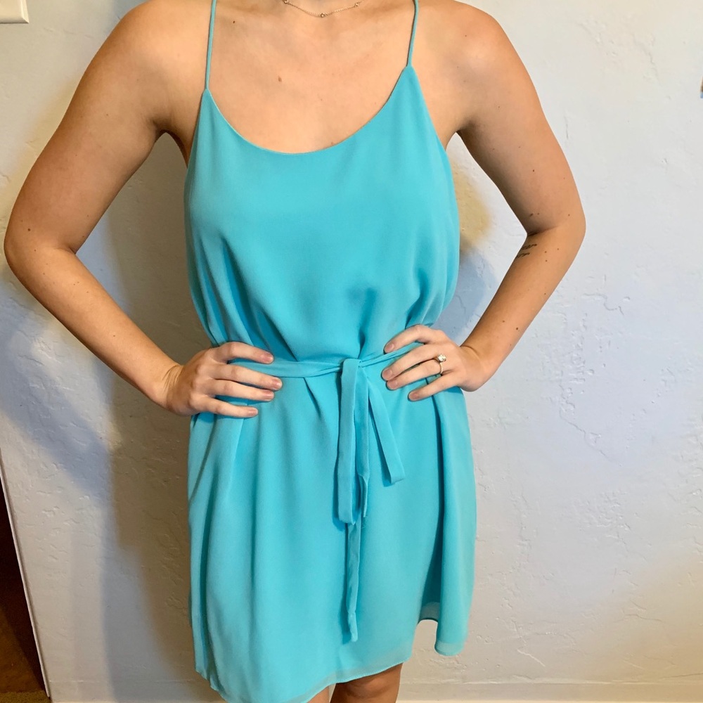 Naked Zebra summer dress